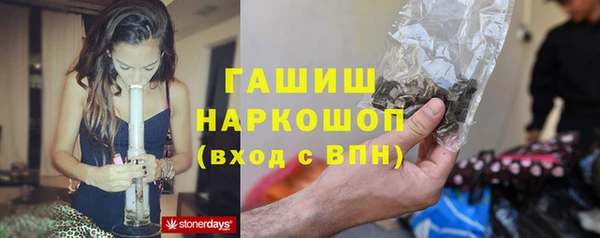 сатива Абинск